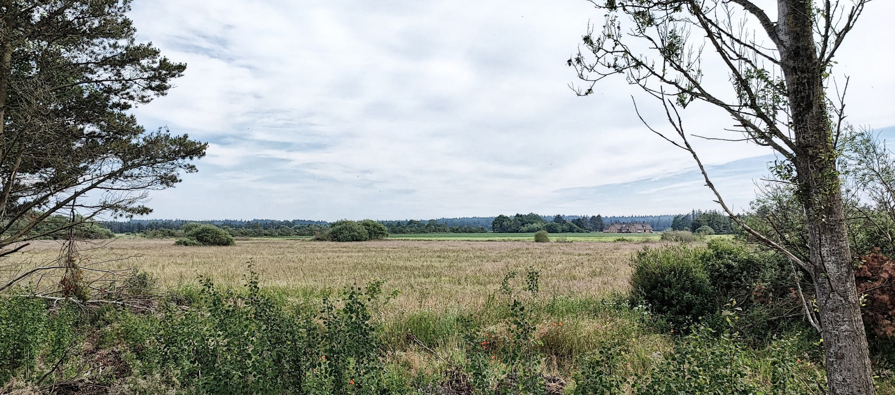 Stemning natur - Houstrup Camping.jpg