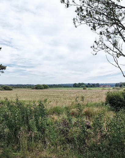 Stemning natur - Houstrup Camping.jpg
